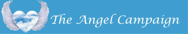 The Angel Campaign